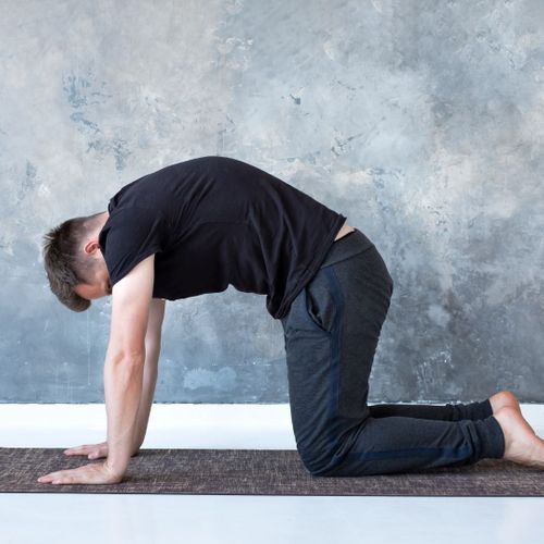 cat-cow yoga pose